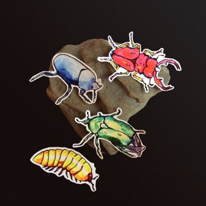 Insect Bug Vinyl Stickers | stag beetle | isopod | june beetle