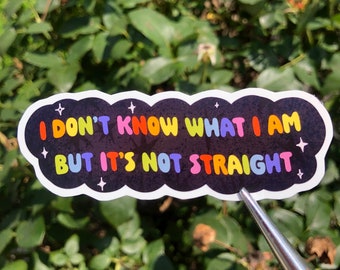 LGBTQ Pride glossy vinyl sticker for laptop, water bottle, gift | queer gay stickers