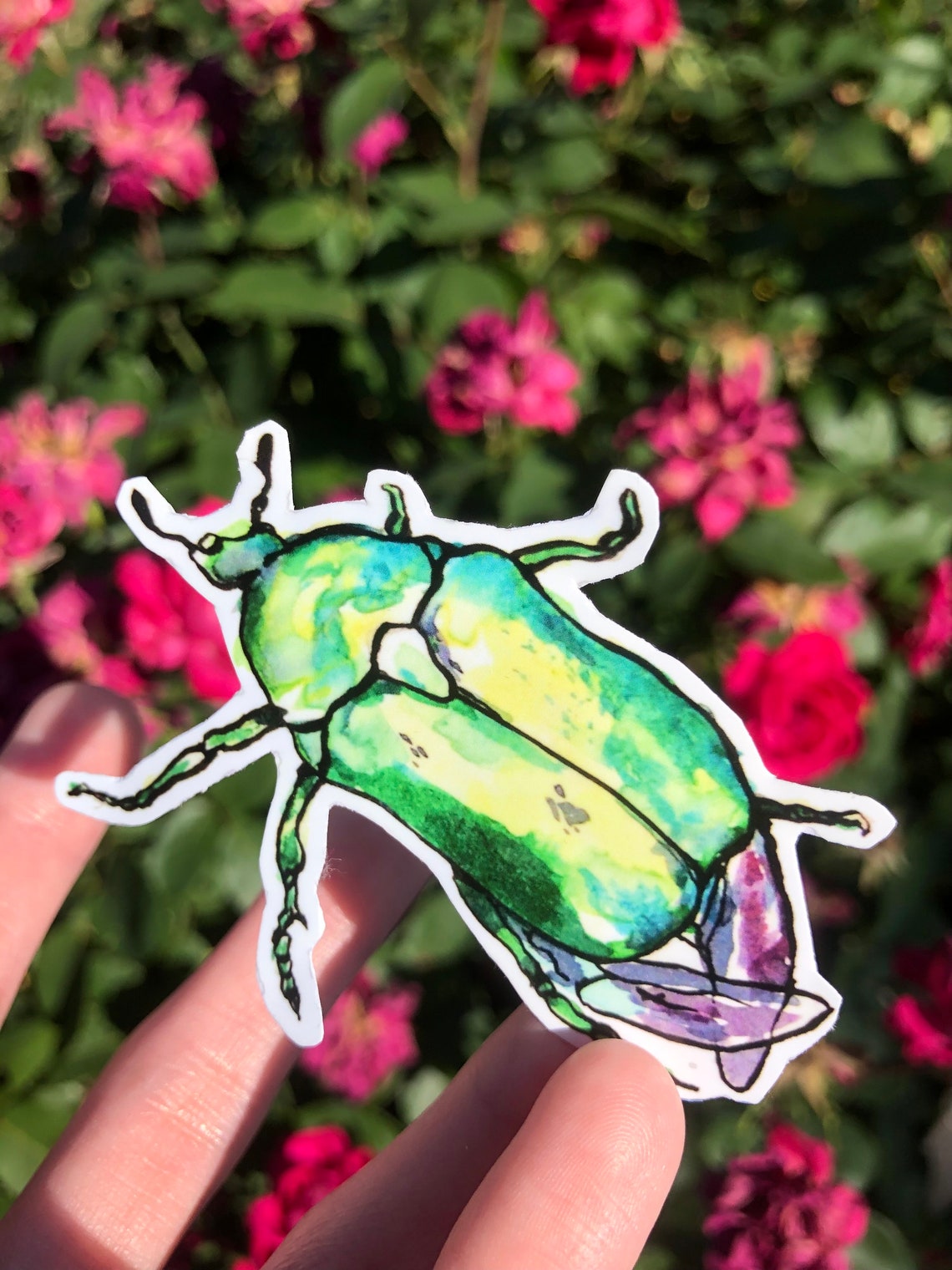 Insect Bug Vinyl Stickers | Stag Beetle | Isopod | June Beetle - Etsy