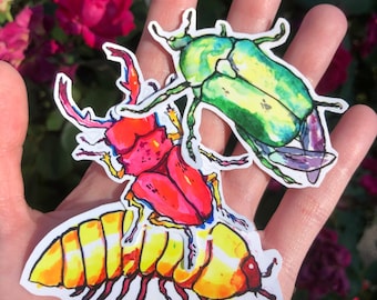 Insect Bug Vinyl Stickers | stag beetle | isopod | june beetle