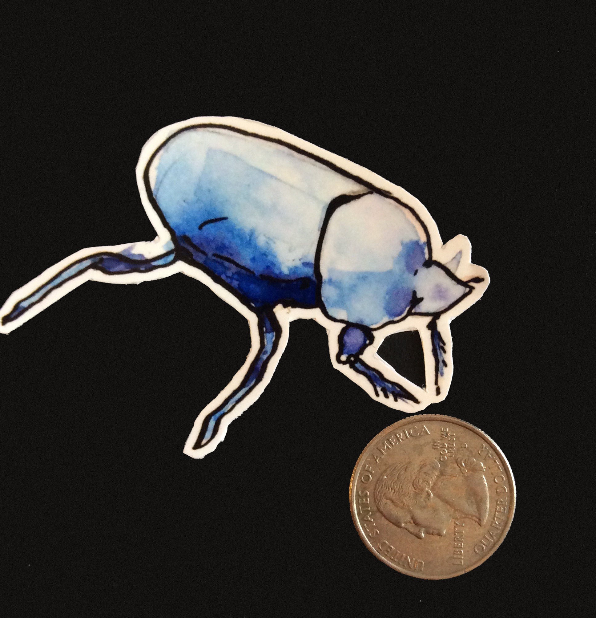 Insect Bug Vinyl Stickers | Stag Beetle | Isopod | June Beetle - Etsy