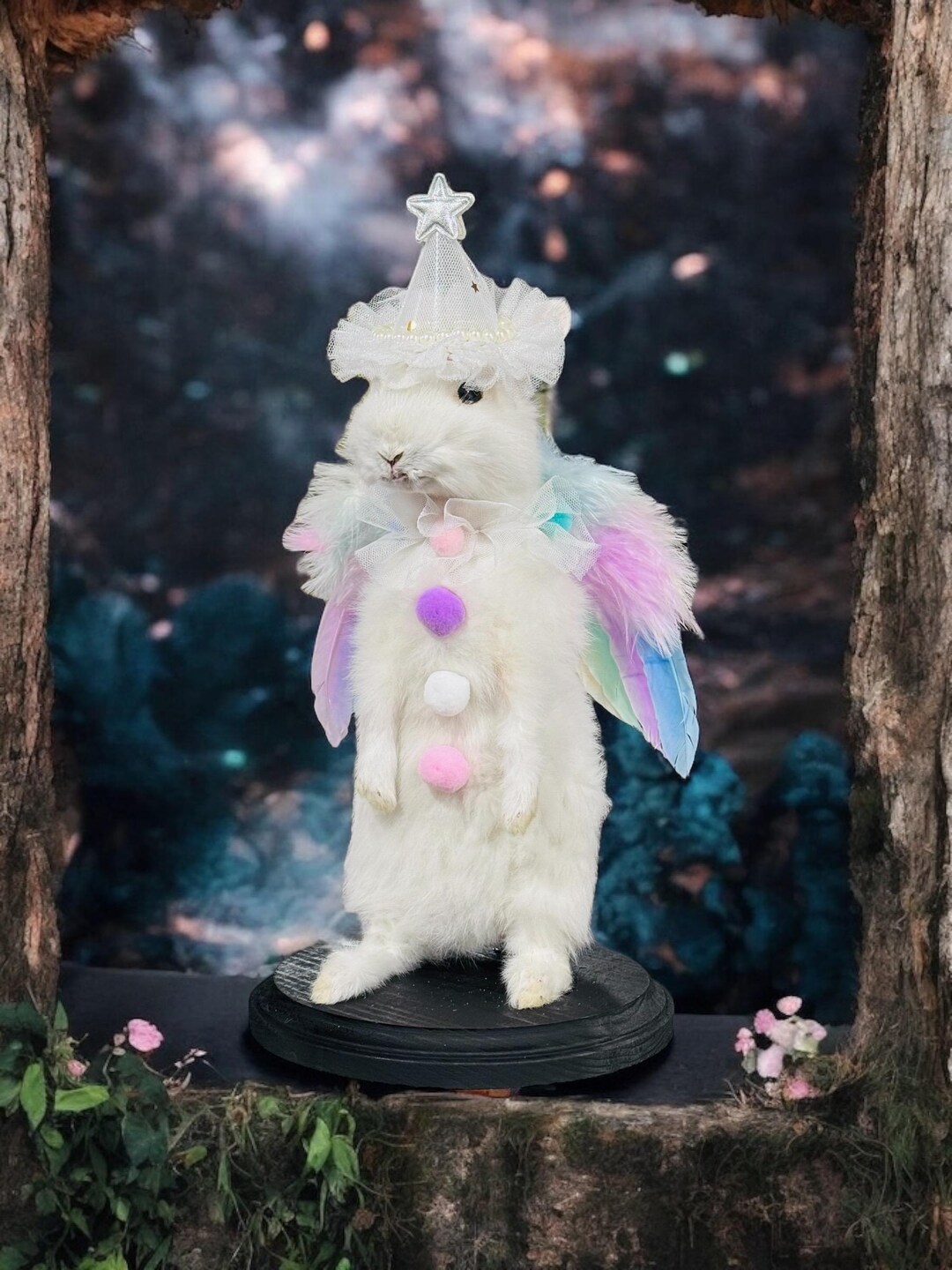 Rabbit Bunny Clown Mummified Skeleton Specimen Wet Dried Preserved ...