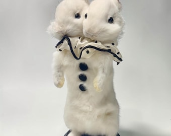 Rabbit bunny 2 headed mummified skeleton specimen wet dried preserved oddities mystery box Curiosities taxidermy bone skull rare antique odd