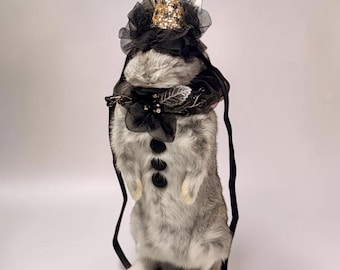 Rabbit bunny clown mummified skeleton specimen wet dried preserved oddities mystery box Curiosities taxidermy bone skull rare bun jester odd
