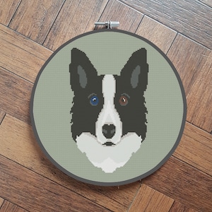 May include: A black and white border collie with blue and brown eyes is depicted in a circular embroidery hoop. The dog's face is centered in the hoop, and the background is a light green color.