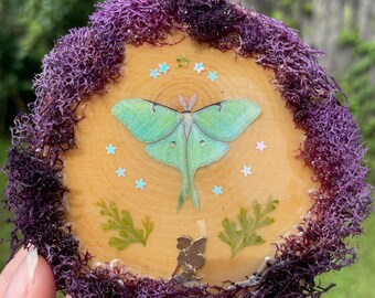 Luna Moth + Purple Moss & Ferns Mini Wall Hanging