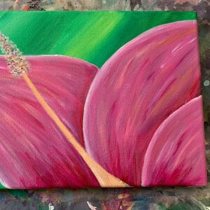 Pink Hibiscus Zoom