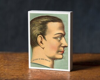 French Medical Anatomy Illustration- Scientific Art-Weird Art-Fun Gift-Home Decor-Cool Gifts-Retro Art-MCM