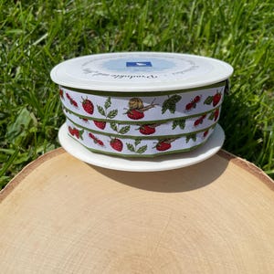 Ruban Strawberry Time d'acufactum 1 m