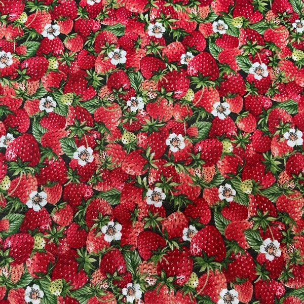 Patchworkstoff, Stoff Erdbeeren „Strawberrys“ Kollektion Summer Days von Makower UK
