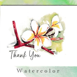 May include: A watercolor painting of white flowers with yellow centers and red stems. The painting has the text "Thank You" and "Watercolor" written below the flowers.