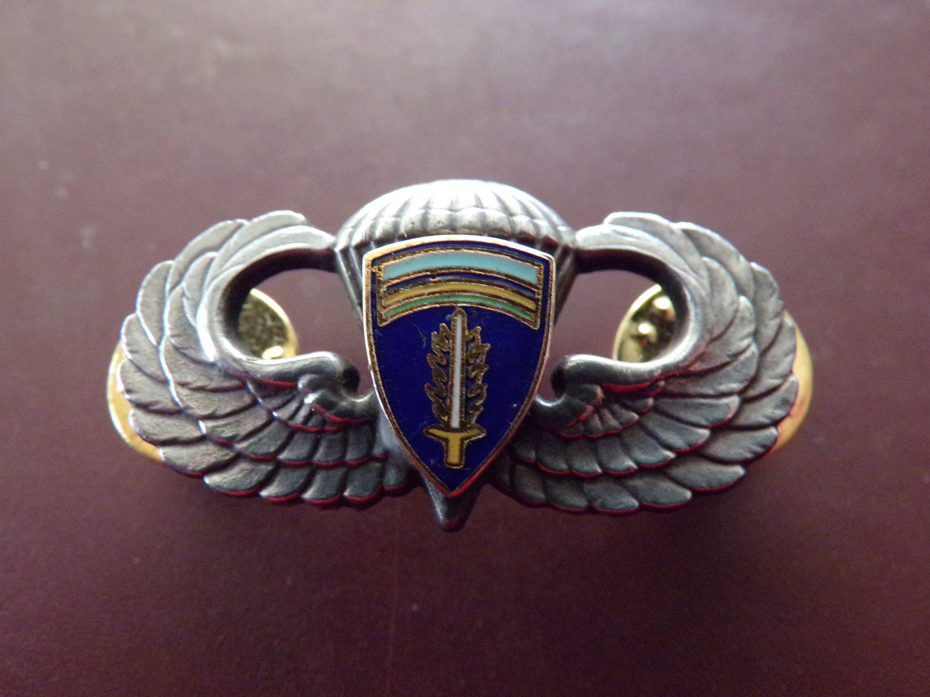 Airborne Jump Wing Badge Patch Pin Europe 577th Quartermaster Etsy