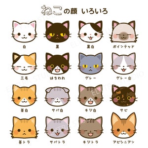 Cat face digital clip art for Personal and Commercial use - INSTANT DOWNLOAD