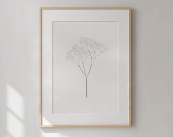 Gypsophila | Print in A4 A5 A6