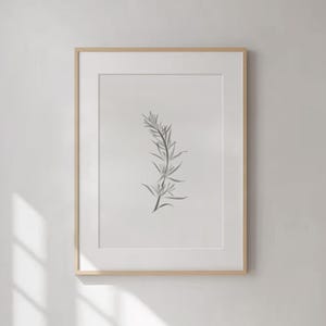 Rosemary | Print in A4 A5 A6