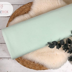 Jersey fabric Öko-Tex-100 plain mint and turquoise tones various colors www.Stoffebox.de Item no. 200 pastelgrün -311