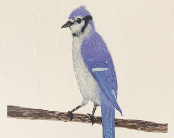 Postkarte Bluebird Vogel Illustration Wandkunst