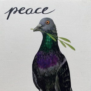 Ilustración paloma tarjetas postales de paz conjunto paz respetuoso con el medio ambiente