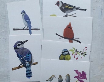 Bird Postcards Set 8 Din A6