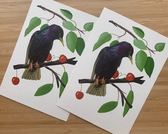 Postcards 2 x Starling in Cherry Tree Illustration Art Print Wall Deco