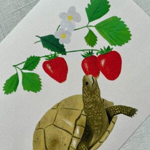 Tortue dans un champ de fraises Deux cartes de vœux DINA6 Printemps