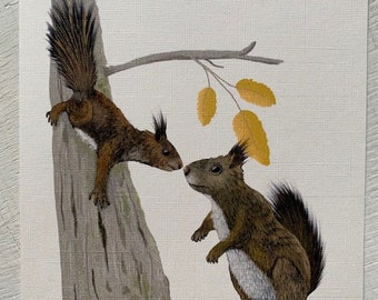 Squirrel postcard 2x Din A6 cards