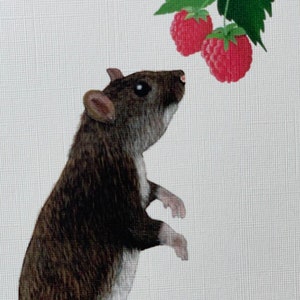 Postkarte süße Ratte Illustration Umweltfreundliches Papier Bild 1