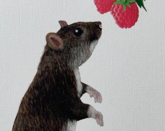 Post card - Rat Raspberry Illustration Art Print