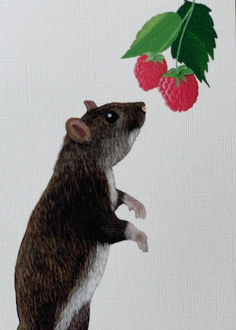 Postkarte süße Ratte Illustration Umweltfreundliches Papier Bild 1