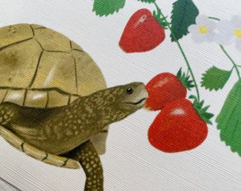 Postcard Set Turtle in Strawberry field Two Greeting Cards Summer