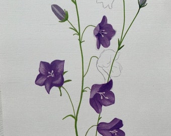 Wall Deco Illustration Flower Bellflower Digital