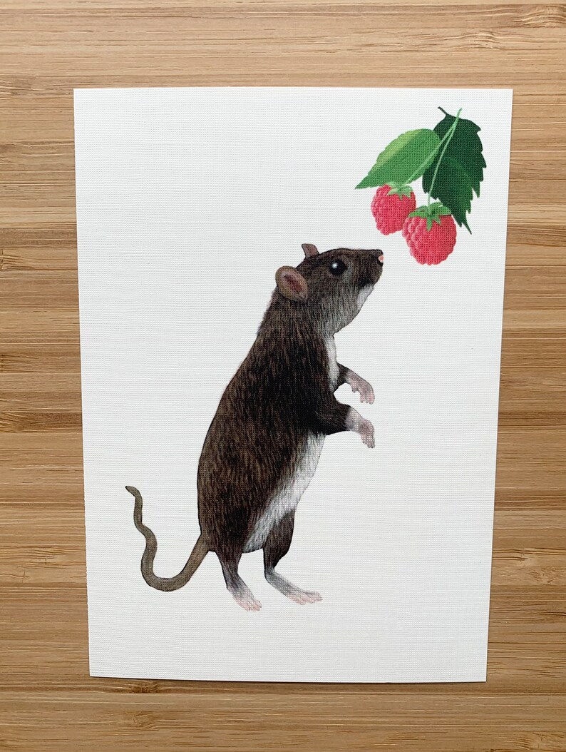 Postkarte süße Ratte Illustration Umweltfreundliches Papier Bild 2
