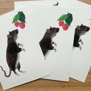 Postkarte süße Ratte Illustration Umweltfreundliches Papier Bild 3