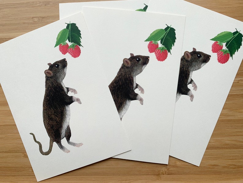 Postkarte süße Ratte Illustration Umweltfreundliches Papier Bild 3