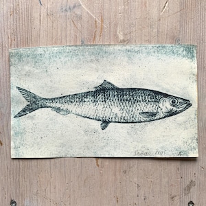 May include: A rectangular print featuring a detailed illustration of a fish. The fish is depicted in shades of black and gray, with textured scales and fins. The background is a light, speckled color with a teal border. The artist's signature is visible.