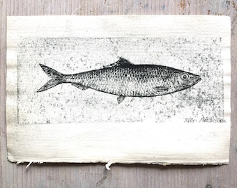 Pez pequeño - Impresión artística en la página del libro