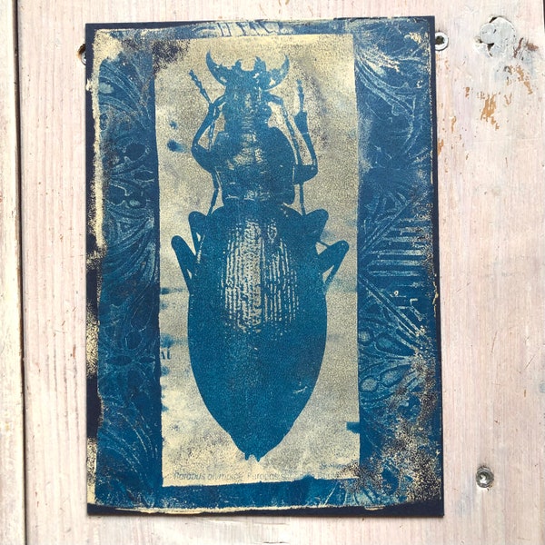 Beetle - art print on calendar cover