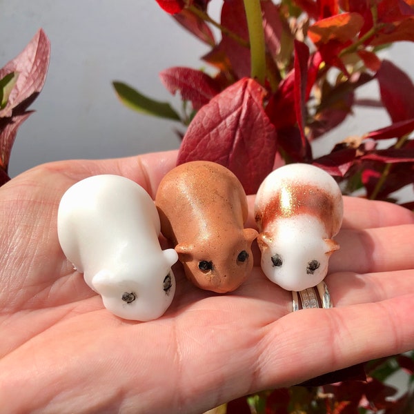 Set of 3 Guinea Pig SOAPS | Sooo cute! | vegan friendly | veggie based glycerin soap | Cute piggy soaps! | Gift bagged <3