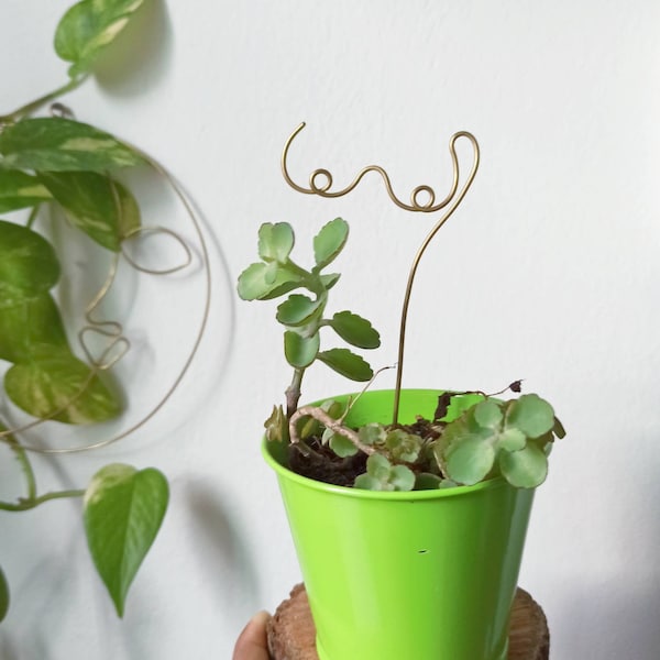 Boobs plant trellis for indoor plant/ boobs decor / plant support / plant accessories/ plant stake/ garden decor/ body planter/ breast decor