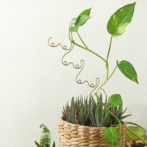 Traliccio per piante a forma di seno per piante da interno/ decorazioni a forma di seno/ decorazioni da giardino/ accessori per piante/ decorazioni per piante/ regali a tema piante/ decorazioni per vasi/ vasi a forma di corpo