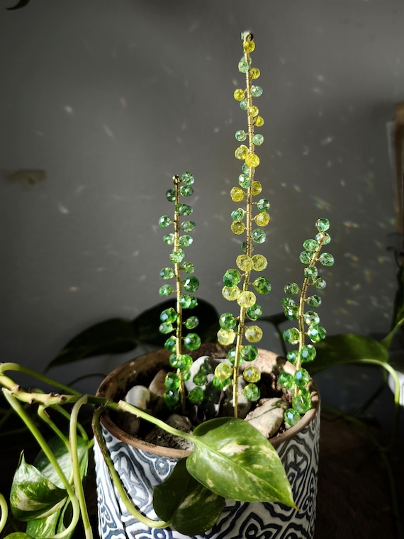 Suncatcher Beaded Plant Stake Decoration, Strings of Pearls Plant Hanging  Decor, Suncatcher Plant Pot Accessories, Crystal Plant Hanger - Etsy