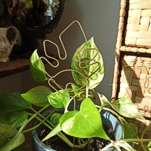 May include: A gold metal plant stake shaped like a monstera leaf. The stake is in a pot with a green and white variegated plant.