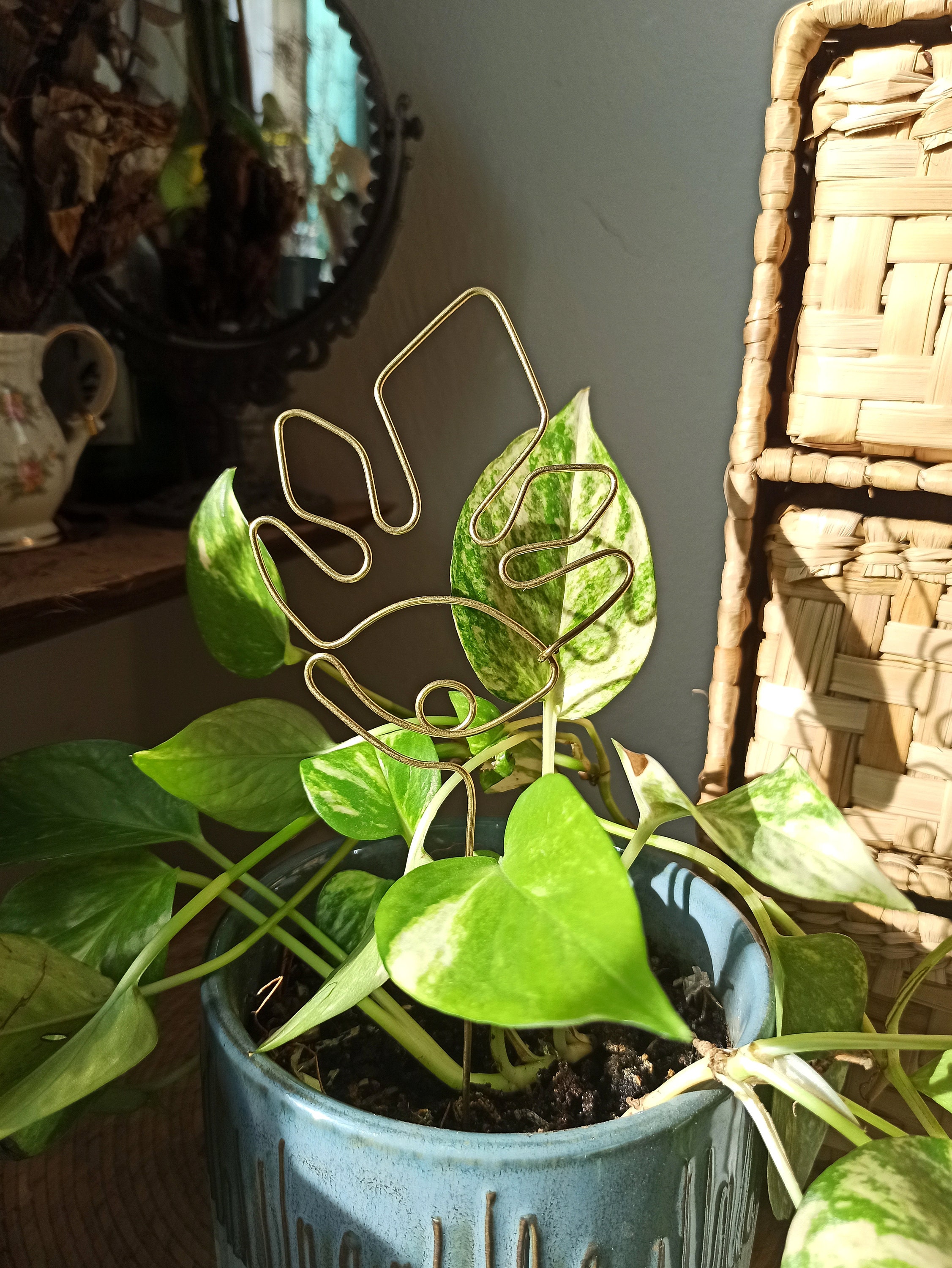 air plant holder plant stake/ plant support garden decor plants decor Eye Cloud plant trellis for indoor plant/ wire trellis air plant holder plant stake/ plant support garden decor plants decor Eye Cloud plant trellis for indoor plant/ wire trellis