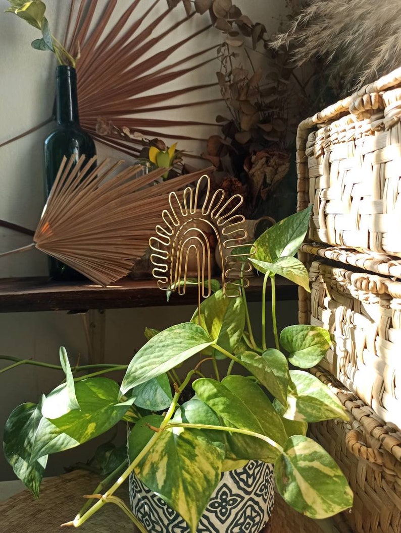Pu&ograve; includere: Un tutore per piante in metallo dorato a forma di sole con un arcobaleno al centro. Il tutore &egrave; in un vaso con una pianta variegata verde e gialla.