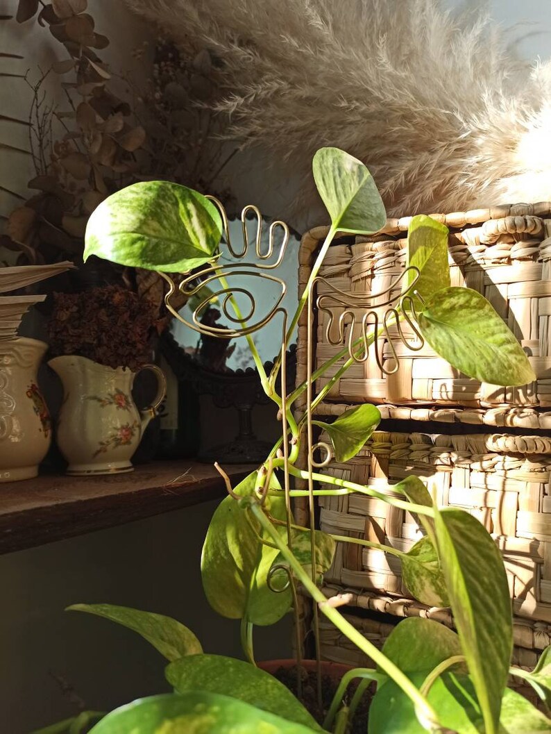 EYES plant trellis for indoor plant/ gardening accessories/ plant accessories/plant stake/ plant decor/garden decor/planter decor/body decor