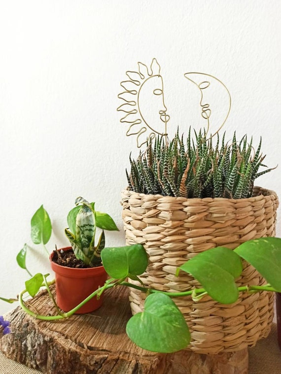 Sun and Moon Plant Trellis for Indoor Plant / Wire Trellis /plant