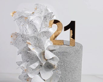 Single Digit Number Cake Topper Acrylic Number Cake Topper Birthday Cake Topper Classic Number Cake Topper First Birthday Cake Topper