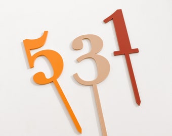 Acrylic Number Cake Topper Birthday Cake Topper One Cake Topper Classic Number Cake Topper Birthday Party Decor Custom Number Topper