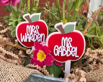 Teacher Plant Marker Teacher Gift Teacher Appreciation Gift End of the School Year Teacher Gift Teacher Appreciation End of Year Teacher