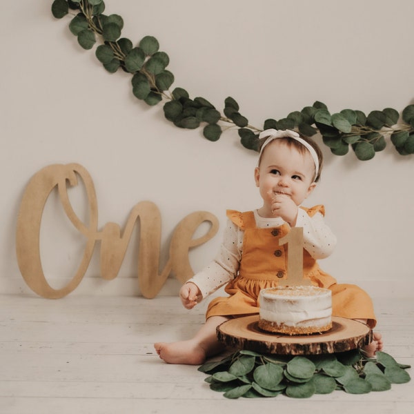 One Sign Photo Prop for First Birthday, Wooden Number Sign, Cake Smash, First Birthday Photo Shoot, One Sign, First Birthday Decorations